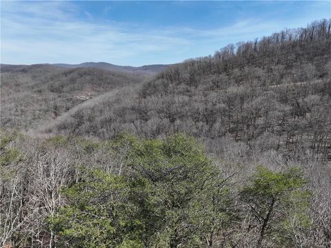 Vacant Land For Sale - 200 Stone Cliff Drive<br/> Ellijay, GA 30536