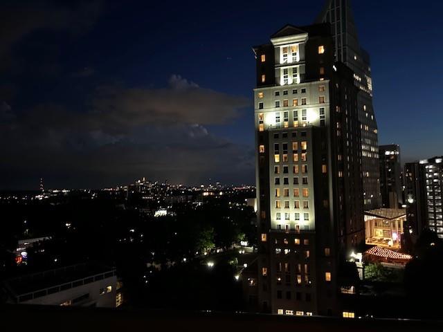 3324 Peachtree Road #1116, Atlanta, Georgia image 41