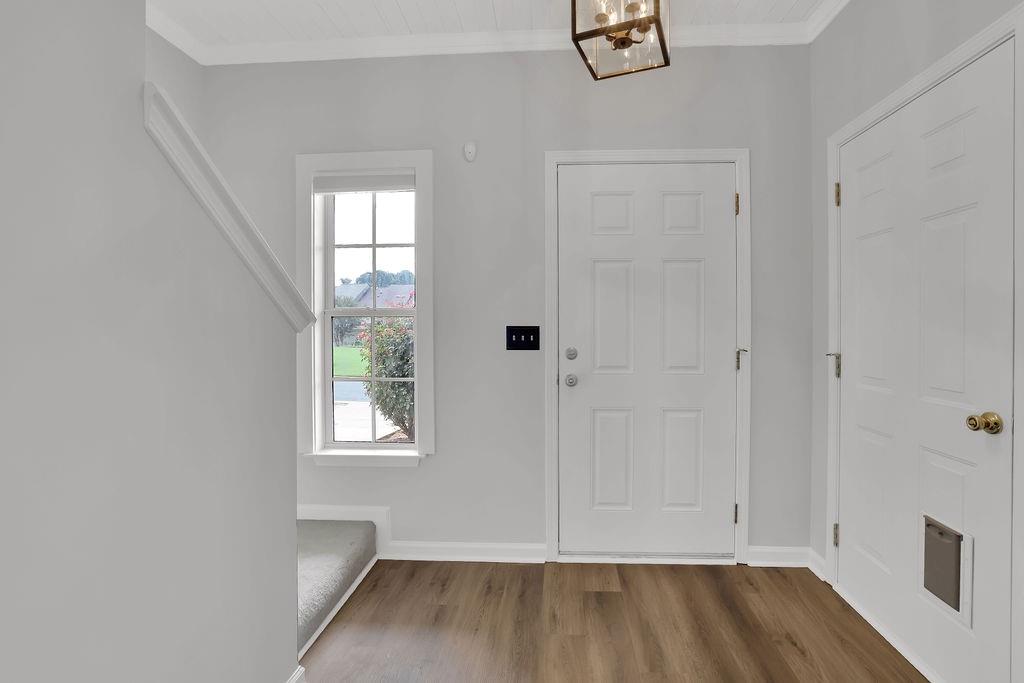518 Dragonfly Court 5