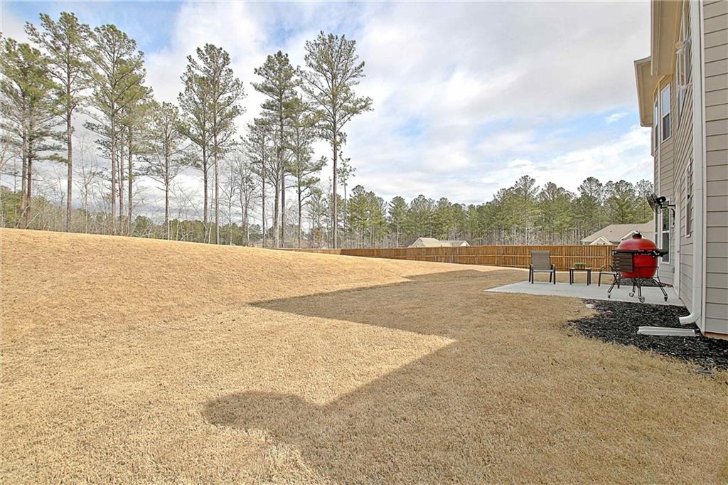 77 Sunflower Drive, Newnan, Georgia image 32