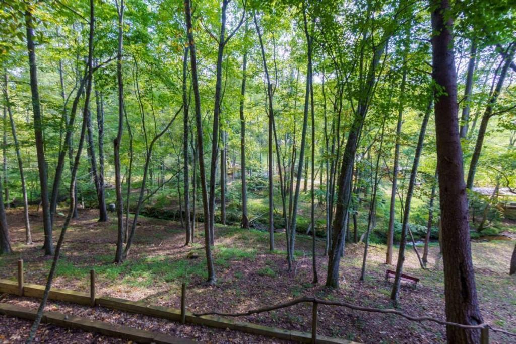 35 Wunder Bear Ridge Road