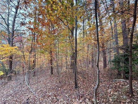 Vacant Land For Sale - 1345 Hunter Drive<br/> Ranger, GA 30734