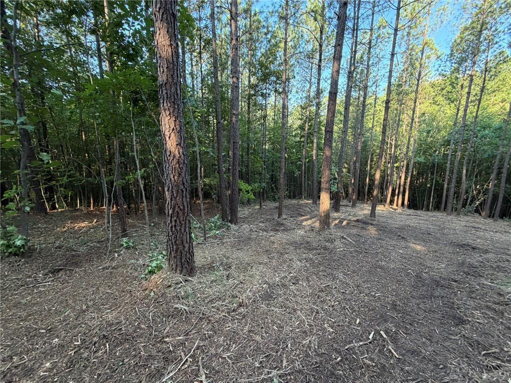 0 Lone Bear Path