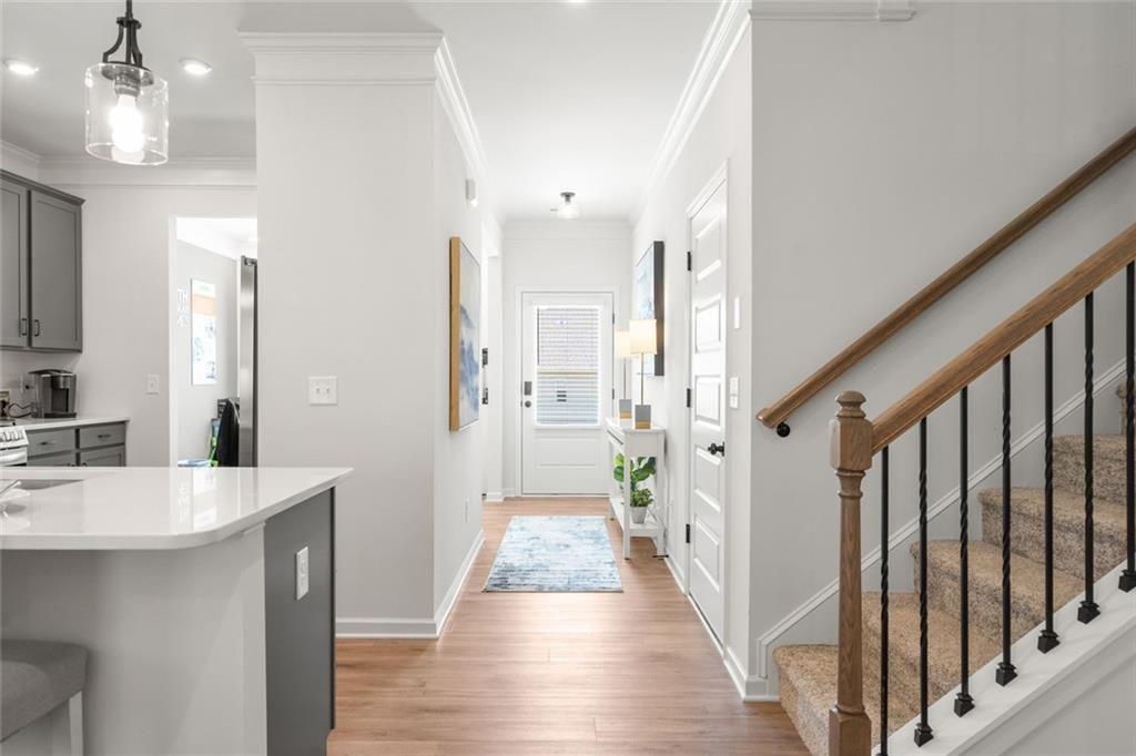 8 Rhine Trail