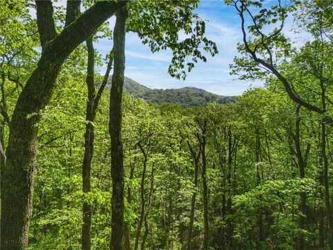45 Amy Creek Dr Ellijay GA 30540