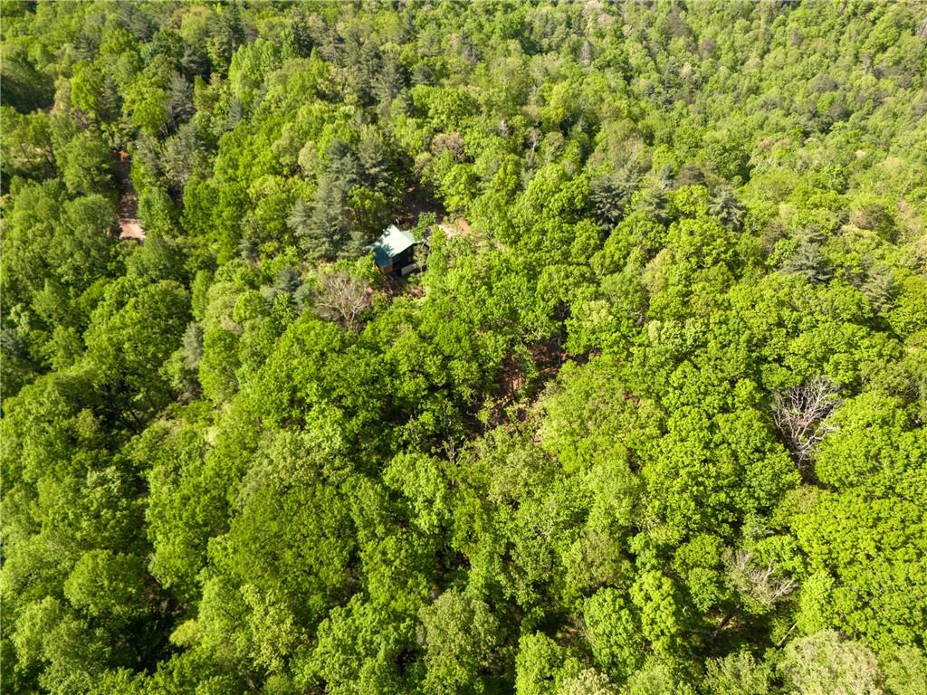 45 Amy Creek Dr, Ellijay, Georgia image 14