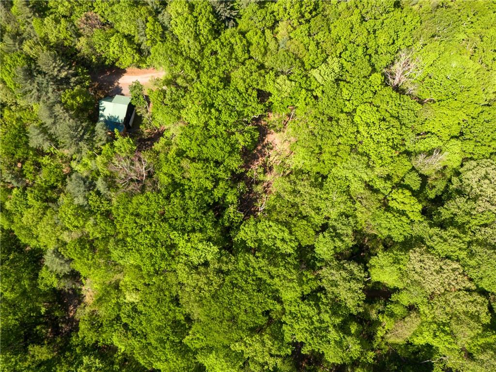 45 Amy Creek Dr, Ellijay, Georgia image 12