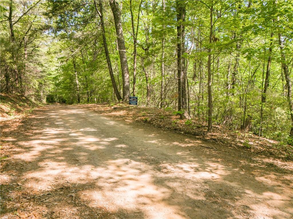 45 Amy Creek Dr, Ellijay, Georgia image 9