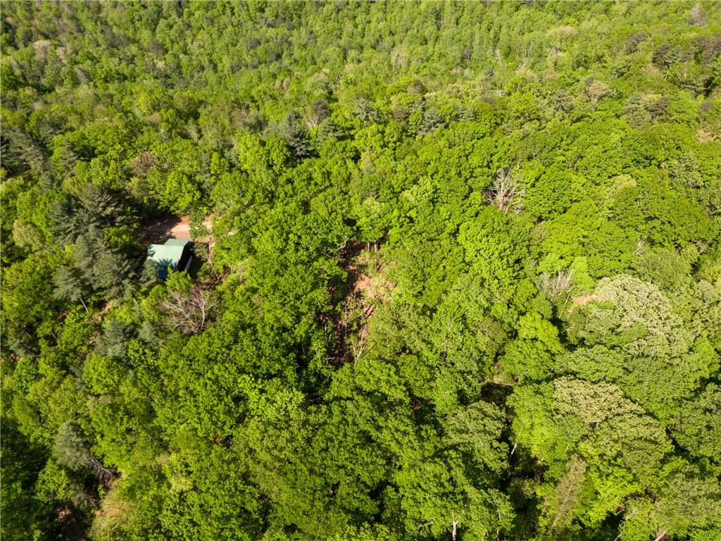 45 Amy Creek Dr, Ellijay, Georgia image 13