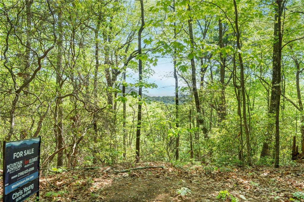 45 Amy Creek Dr, Ellijay, Georgia image 11