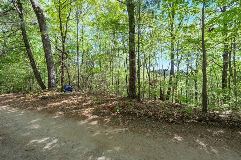 45 Amy Creek Dr, Ellijay, Georgia image 6