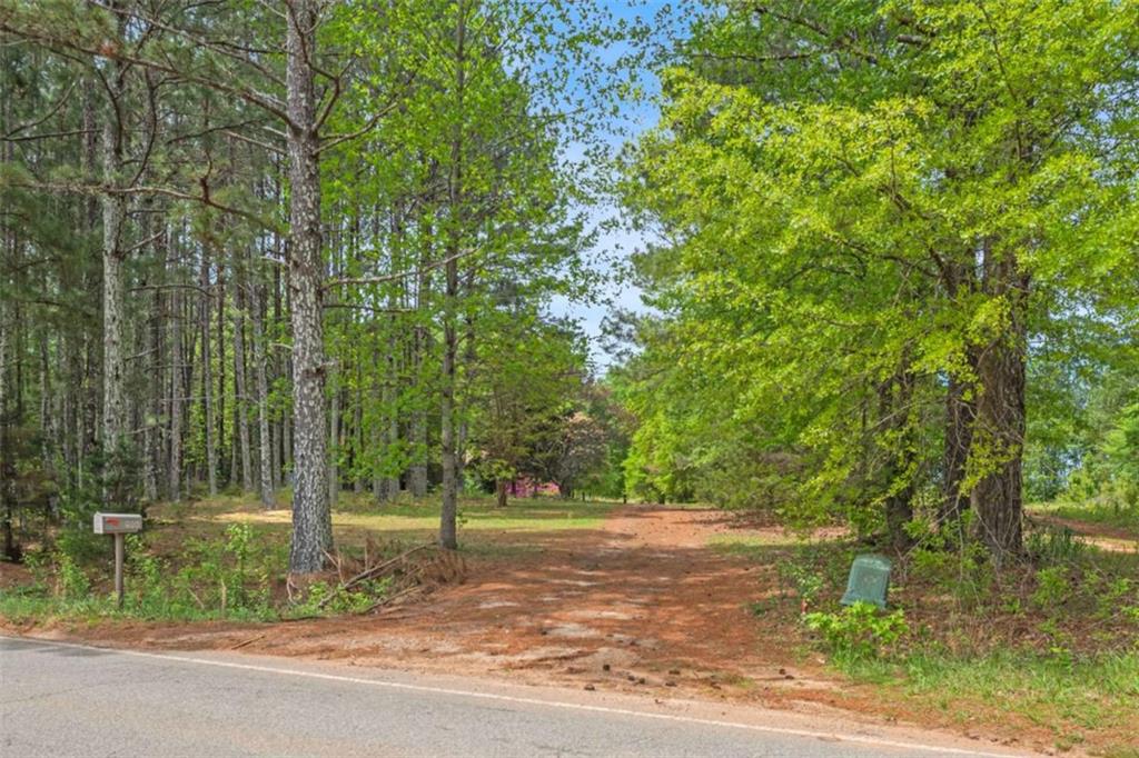 928 Rocky Creek Road, Hampton, Georgia image 1
