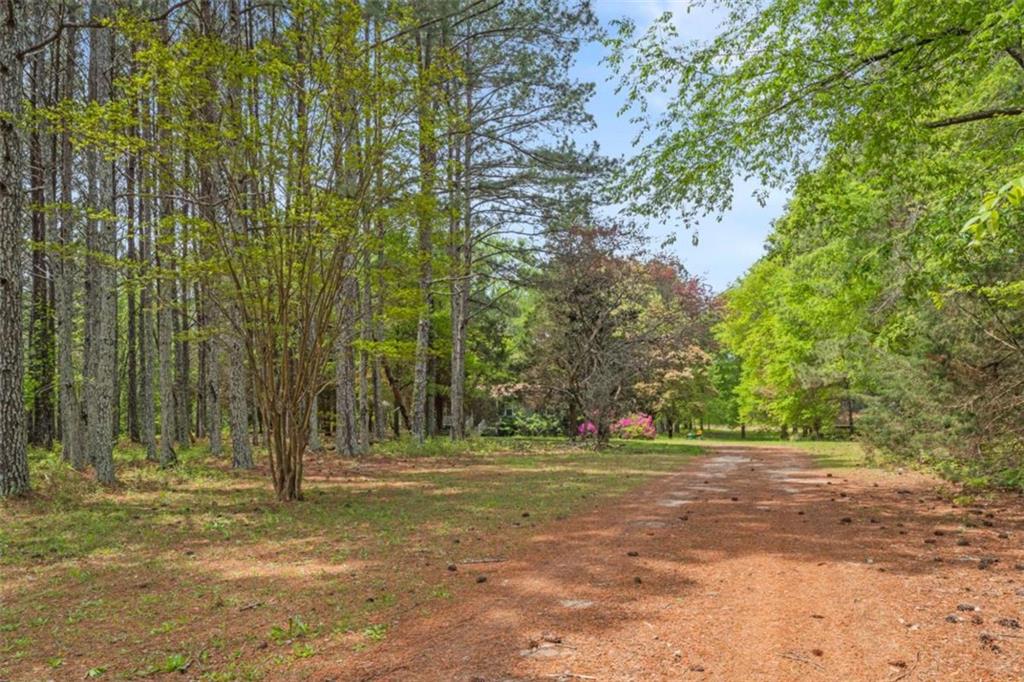 928 Rocky Creek Road, Hampton, Georgia image 3