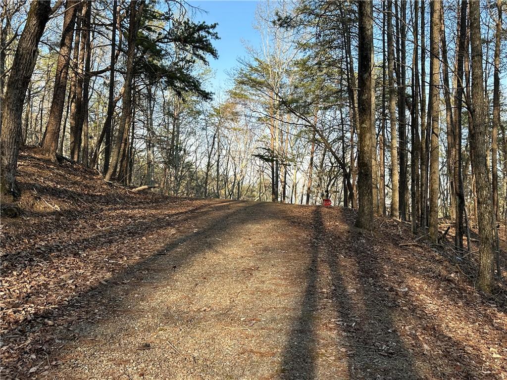 109 Iron Bull Court, Waleska, Georgia image 12