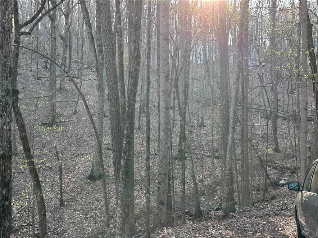 109 Iron Bull Court, Waleska, Georgia image 14