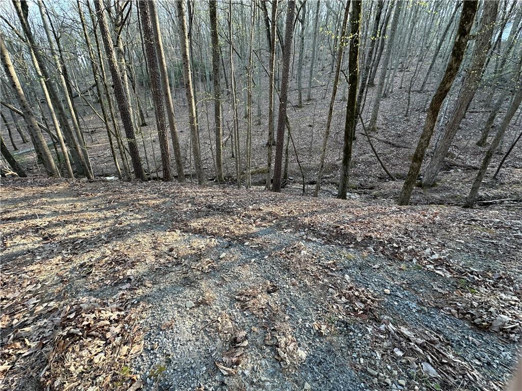 109 Iron Bull Court, Waleska, Georgia image 8
