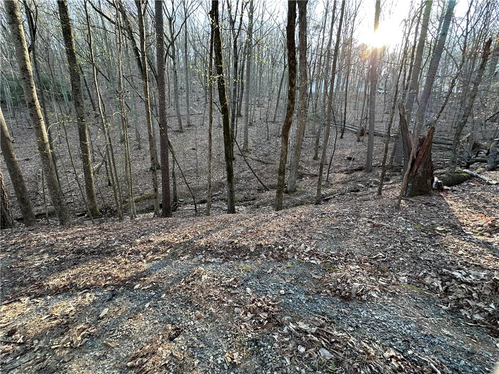 109 Iron Bull Court, Waleska, Georgia image 9