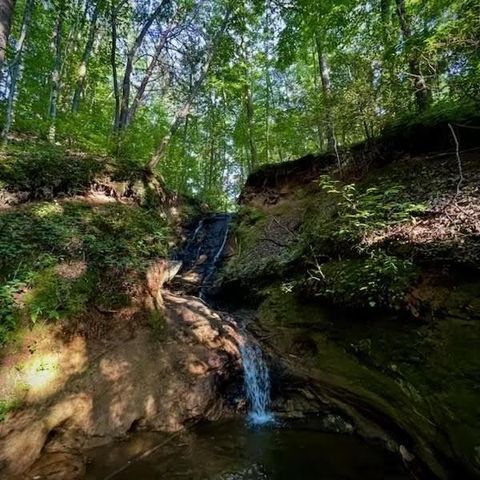 A home in Ellijay