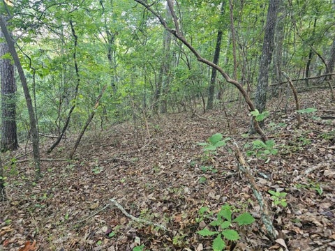 Vacant Land For Sale - 391 Meteor Court<br/> Gordon County, Ranger, GA 30734