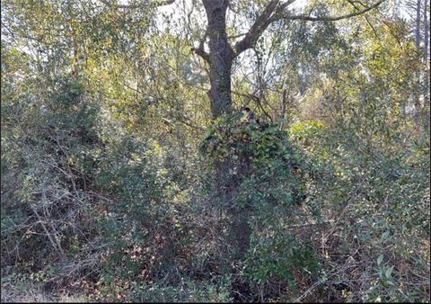 Vacant Land For Sale - Quiesqueya Cir<br/> Ware County, Waycross, GA 31503