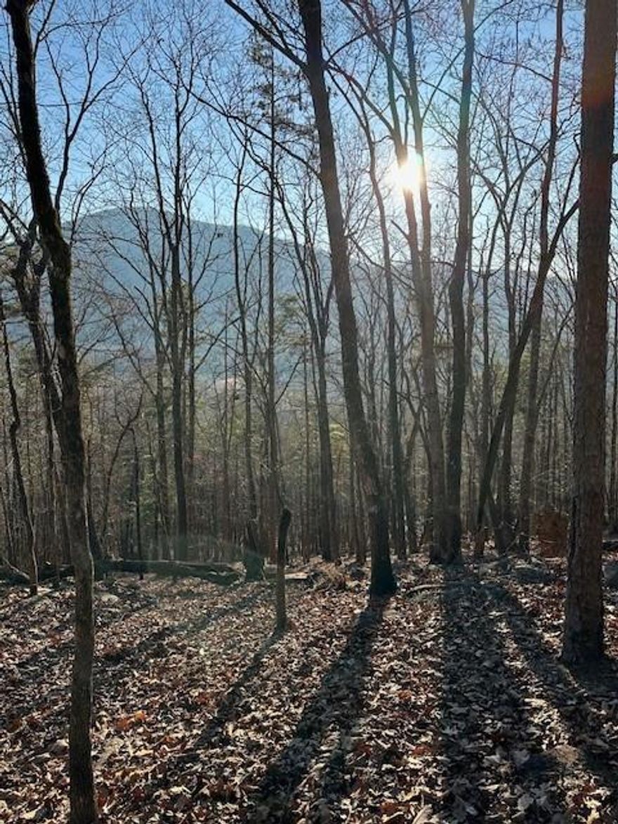 || SEASONAL PANORAMIC VIEW OF MOUNT YONAH || || 1.75 ACRE CUL-DE-SAC LOT || || LOW HOA DUES || || CLOSE TO VINEYARDS, HIKING, AND WATERFALLS || ** What You'll See **  Picture yourself surrounded by breathtaking seasonal VIEWS of MOUNT YONAH, framed by the rolling foothills of the North Georgia mountains. Your 1.75-acre CUL-DE-SAC LOT offers a canvas of natural beauty mature trees, open sky, and mountain ridgelines that paint a different picture every time the light changes. You'll see well-kept paved roads winding through SKY MOUNTAIN ESTATES, where every home harmonizes with nature and community pride is evident. ** What You'll Hear **  Step out onto your future porch and listen. You'll hear the stillness of the mountains, the gentle rustling of the trees, and the quiet chirping of birds. This peaceful setting is blissfully free from city noise just the calming sounds of nature. On weekends, the breeze might carry faint laughter or conversation from neighbors enjoying their mountain escapes far enough to maintain privacy, close enough to feel community. ** What You'll Feel **  Standing on your lot, you'll feel grounded and inspired. There's something about the elevation, the coolness of mountain air on your skin, and the openness of the panoramic view that stirs a sense of peace and possibility. With PAVED ACCESS and NO NEED FOR 4WD, you'll feel secure knowing your dream home is easily reachable year-round, no matter the season. ** What You'll Experience **  Experience the perfect balance of seclusion and accessibility. Located just minutes from HELEN, CLEVELAND, CLARKESVILLE, and CORNELIA, you'll be close to charming shops, local vineyards, and scenic trails ideal for weekend adventures. SKY MOUNTAIN ESTATES offers UNDERGROUND POWER, a SHARED COMMUNITY WELL, and LOW HOA DUES, ensuring your investment is both smart and scenic. Here, you'll build more than a home you'll create a mountain lifestyle.
