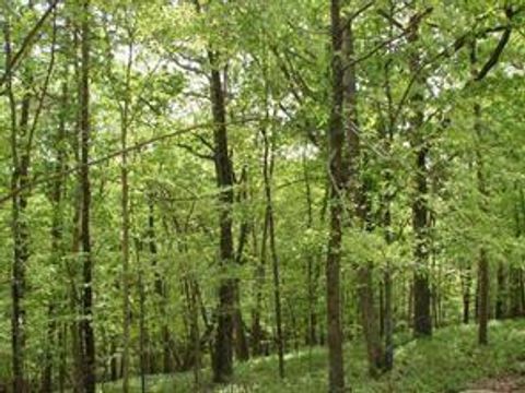 Vacant Land For Sale - 141 Fort Wayne Court<br/> Waleska, GA 30183