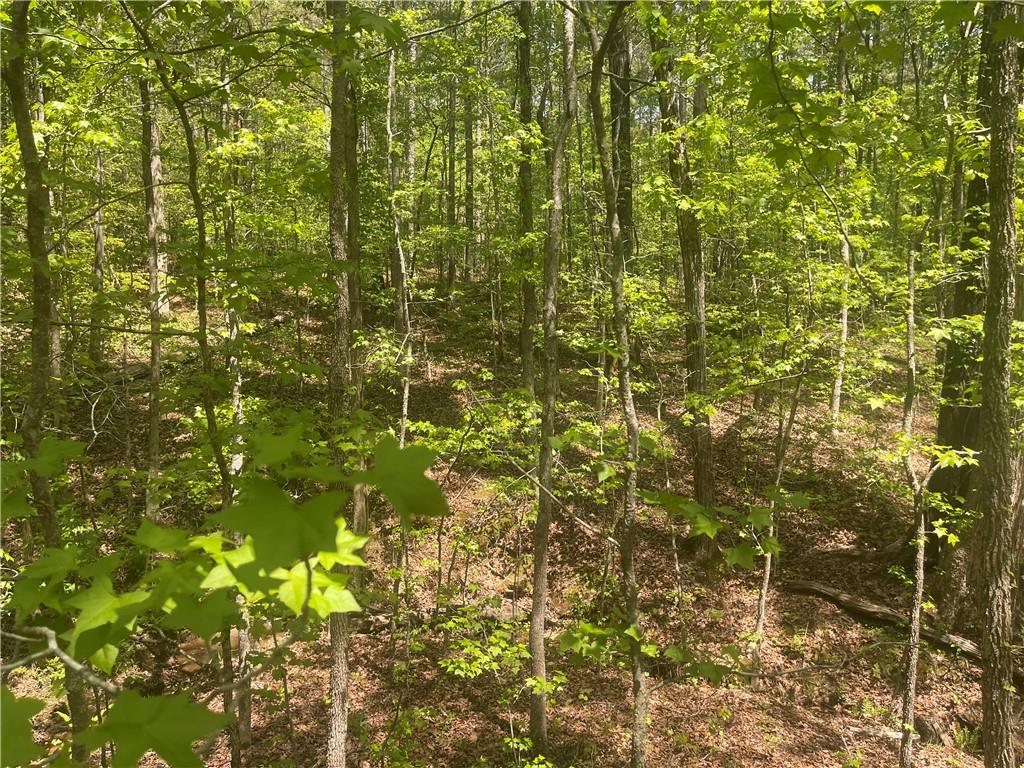 Weaver Jones Tract 10b, Rutledge, Georgia image 7