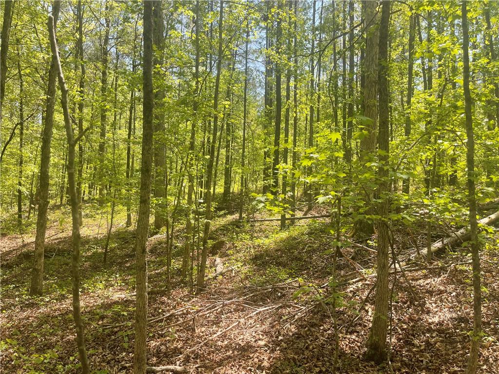 Weaver Jones Tract 10b, Rutledge, Georgia image 6