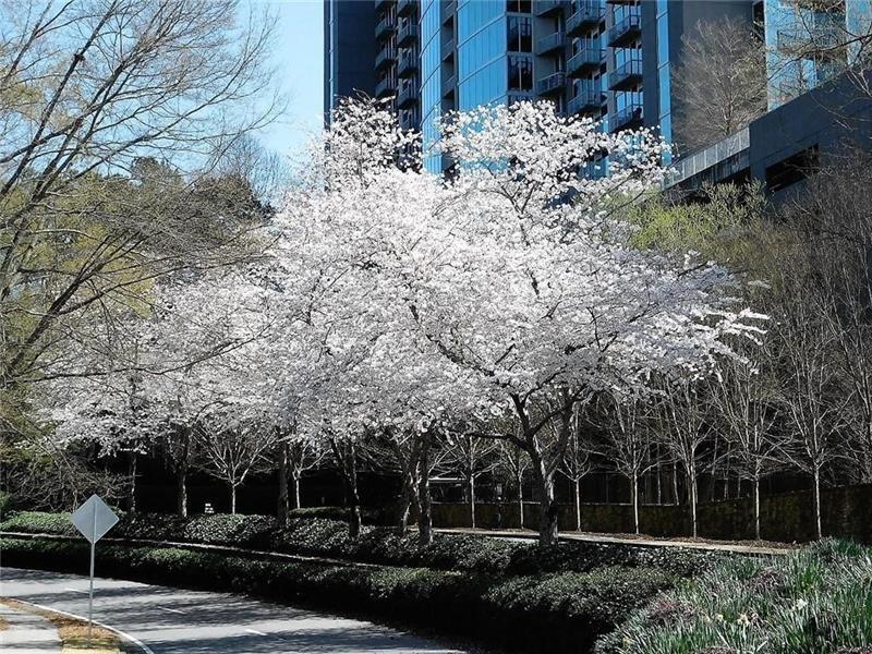 3300 Windy Ridge Parkway #1401, Atlanta, Georgia image 50
