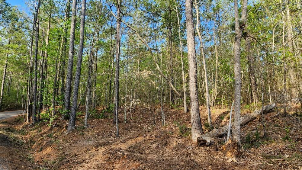 Backcountry Trail, Dallas, Georgia image 35