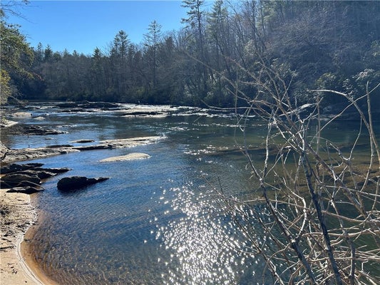 145 TWIN RIVER RD, DEMOREST, GA 30535 - Image cecbb419fb14a49ca372decc4db20290/1150608965