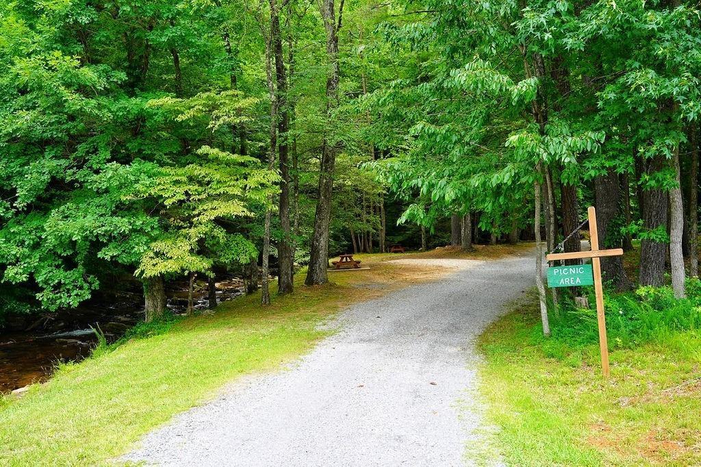 368 Walnut Ridge, Ellijay, Georgia image 45