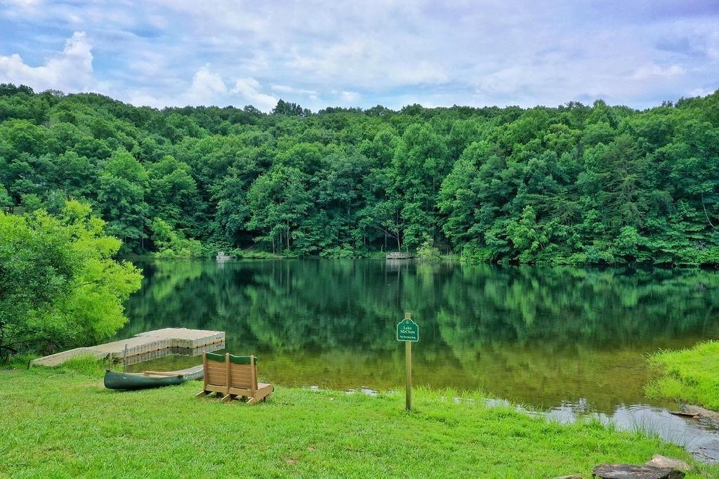 368 Walnut Ridge, Ellijay, Georgia image 43