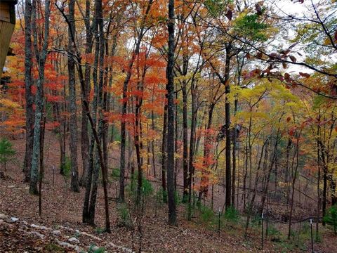 A home in Ellijay