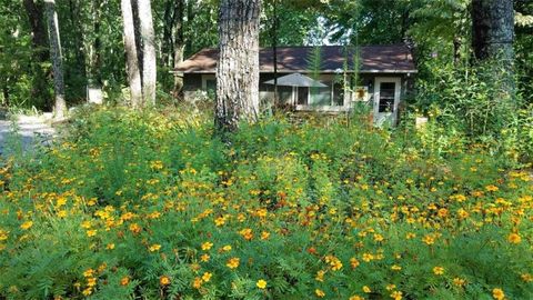 A home in Ellijay