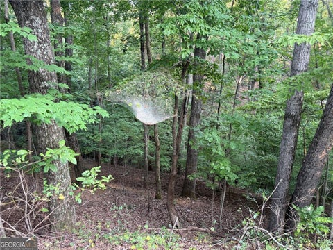 Vacant Land For Sale - 2329 Ford White Road<br/> Hall County, Gainesville, GA 30506
