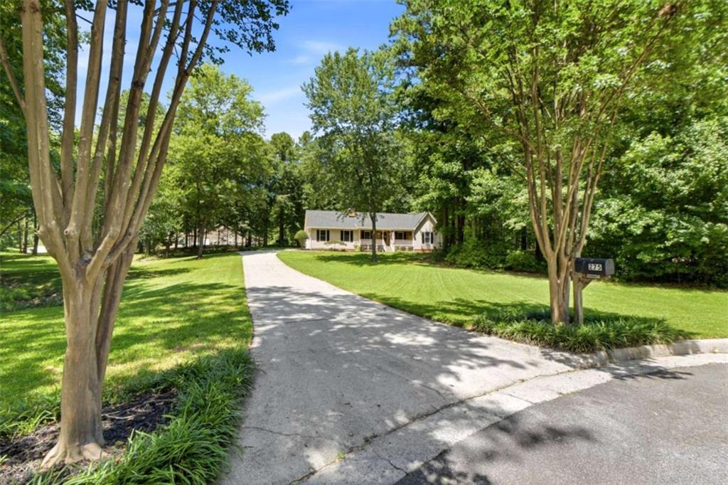 275 Pine Tree Lane