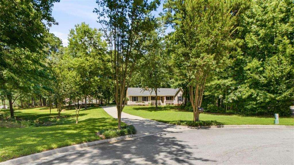 275 Pine Tree Lane