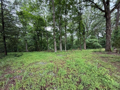 Vacant Land For Sale - LOT 35 Lakemont Trail<br/> Demorest, GA 30535