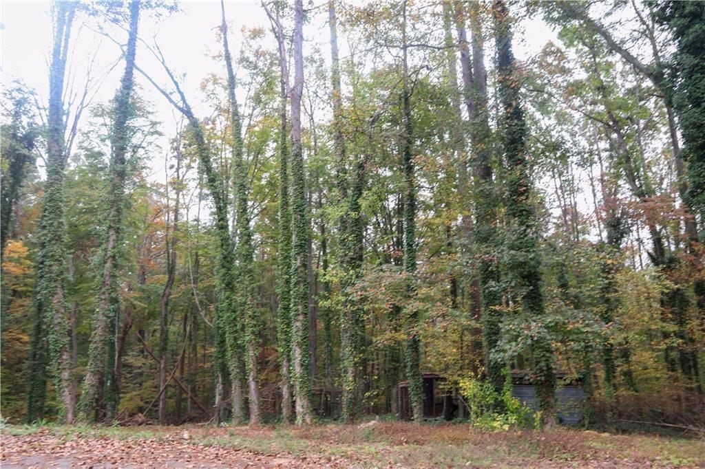 618 Old Doss Drive, Canton, Georgia image 8