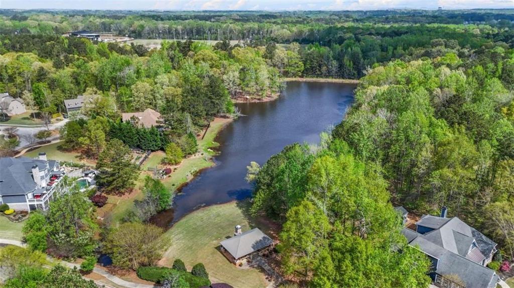 229 Primstone Way, Mcdonough, Georgia image 28