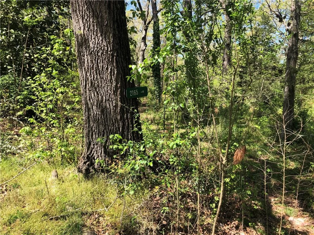 2165 Old Salem Road SE
