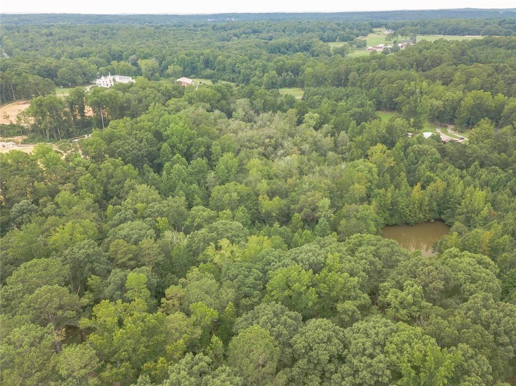 Manor Way Road, Loganville, Georgia image 9