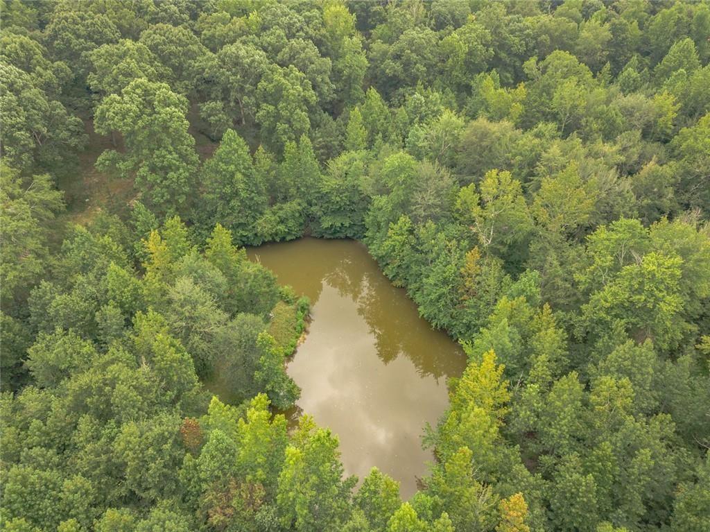 Manor Way Road, Loganville, Georgia image 8