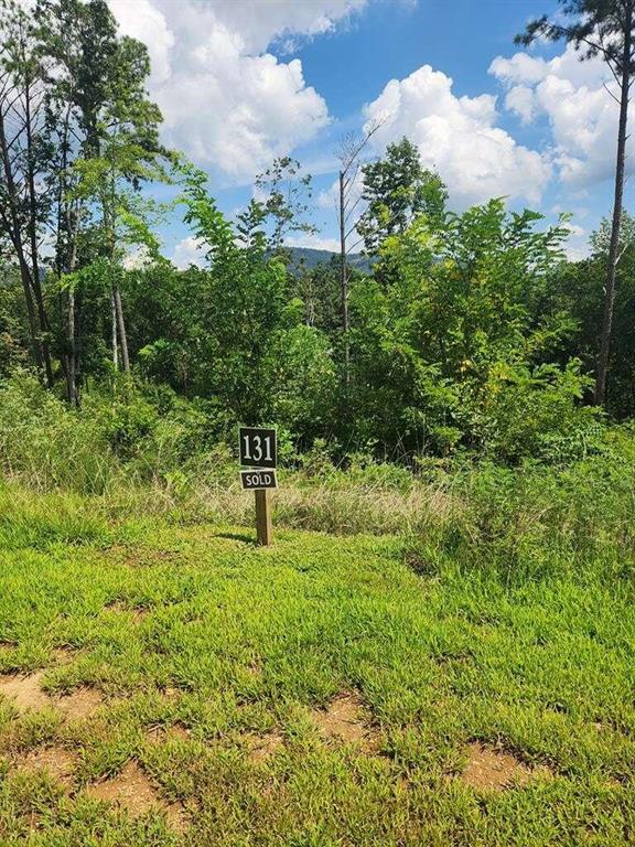 Lot 13 Lot 131 Twisted Oak, Ellijay, Georgia image 5