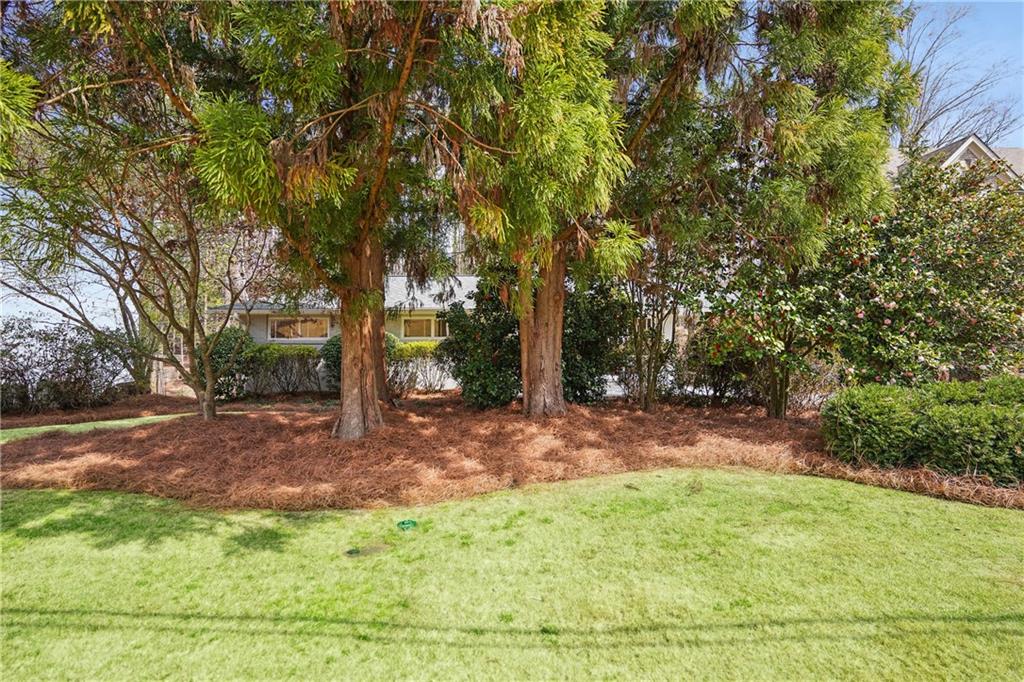 2711 Winding Lane, Brookhaven, Georgia image 39