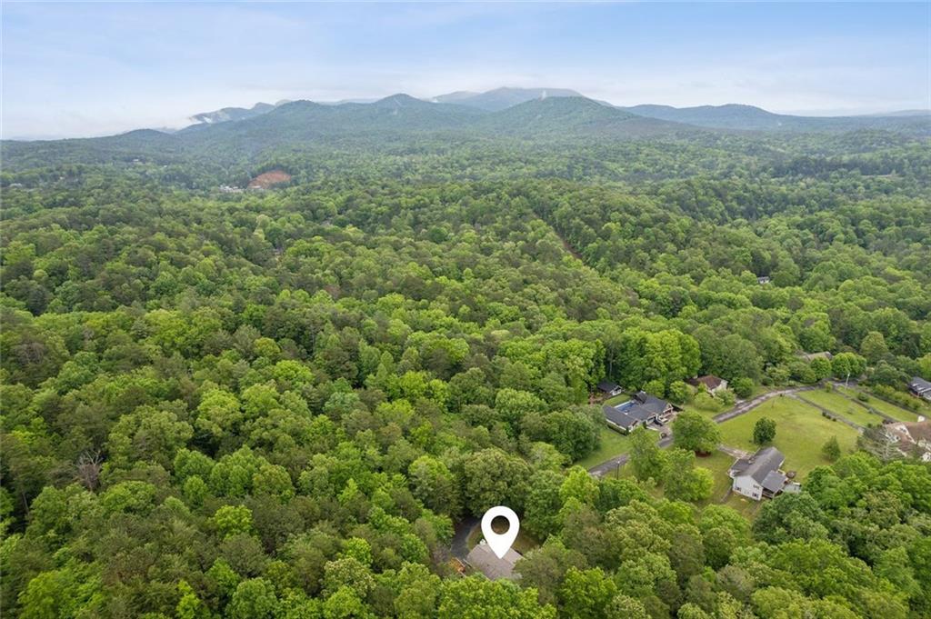 111 Piney Woods Drive, Ellijay, Georgia image 39