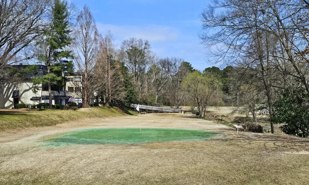 47 Monet Court, Atlanta, Georgia image 28