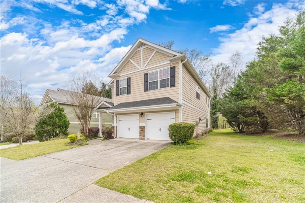 6503 Silk Tree