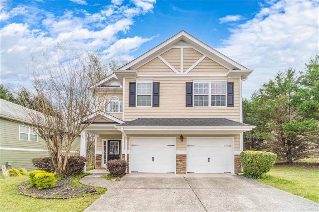 6503 Silk Tree